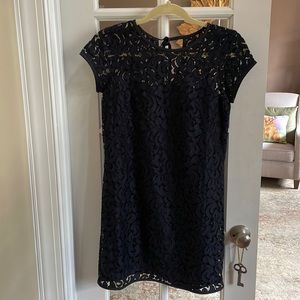 Loft Navy lace dress